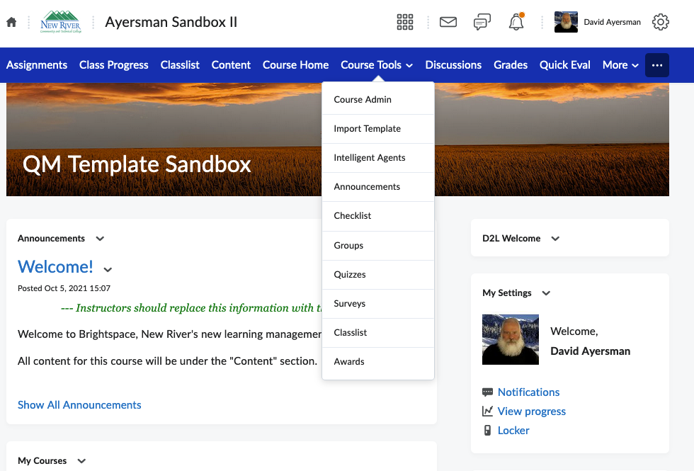 Brightspace Homepage and Course Tools